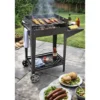 Barbecue a Carbone da Esterno con Griglia Regolabile in Acciaio Cromato