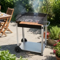 Barbecue a Carbone da Giardino Mattone Refrattario Griglia Regolabile
