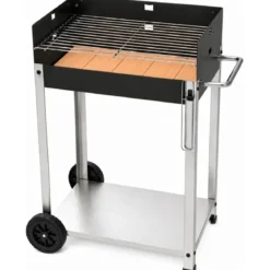 Barbecue a Carbone da Giardino Mattone Refrattario Griglia Regolabile