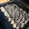 Barbecue a Gas Campignaz Pietra Lavica 8,2+2,1 kW Fornello Laterale