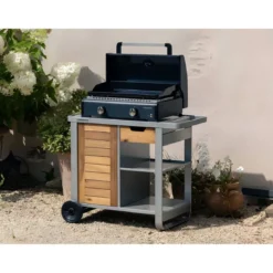 Barbecue a Gas Campignaz Plancha 65x56x31 cm 2 Fuochi Piastra Ghisa
