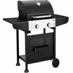 Barbecue a Gas GPL da Esterno 2 Bruciatori con Coperchio Acciaio Inox