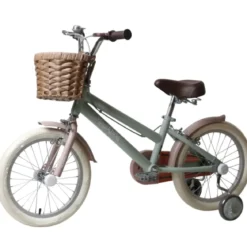 Bicicletta 16