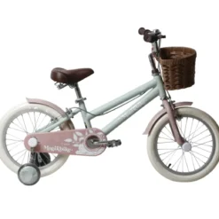 Bicicletta 16