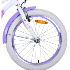 Bicicletta Bambini 20