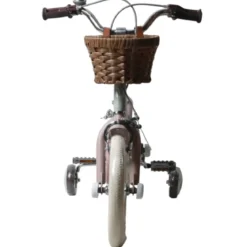 Bicicletta 14
