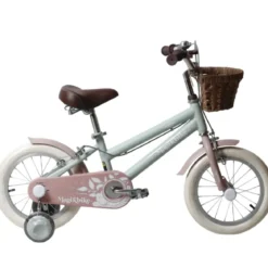 Bicicletta 14