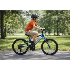 Bicicletta 20