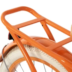 Bicicletta con Cestino Portapacchi 20