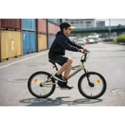 Bicicletta Freestyle 20