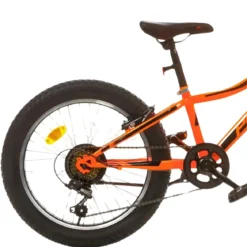 Bicicletta per Bambini 20