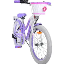 Bicicletta per Bambini 20