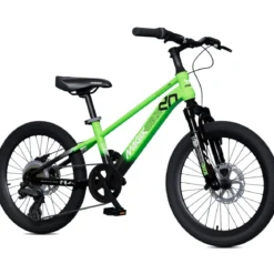 Bicicletta per Bambini Verde 20