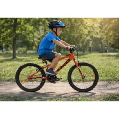 Bicicletta 20 Pollici Cambio Shimano 6 Velocità Telaio Acciaio Rosso