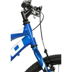 Bicicletta Single Speed 20