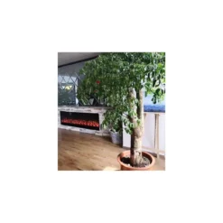 Camino Elettrico da Incasso o Appoggio Lungo 180 cm con Telecomando Led