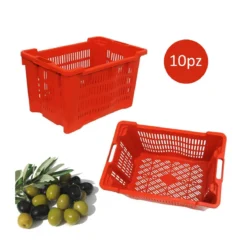 10 Ceste Raccolta Olive Cassetta Impilabile fondo Forato per Frutta Verdura Cassa Multiuso