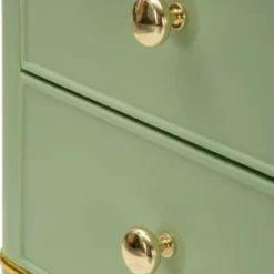 Comodino Camera da Letto 2 Cassetti in Legno Ferro Verde Oro