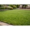 Erba Sintetica Drenante 20 mm 2x10 m Prato Verde Realistico da Esterno