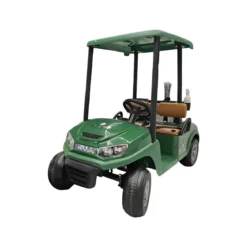 Golf Kart Elettrico Bambini 24V Car Verde con Palline e Bastoni