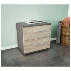 Mobile Comodino con 2 Cassetti Grigio Olmo Camera da Letto Design