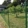 10 Paletti in Ferro per Recinzione 250 cm Plastificato Verde Pali Rete Giardino