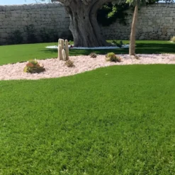 Prato Sintetico Drenante 25 mm 2x25 m Erba Verde Realistica da Esterno