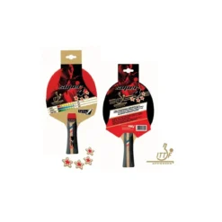 Racchetta 4 Stelle Omologata ITTF da Ping Pong Indoor Outdoor Tennis da Tavolo