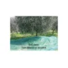 Rete per Raccolta Olive 6x6 metri con Spacco Occhielli Metallo Telo Antispina