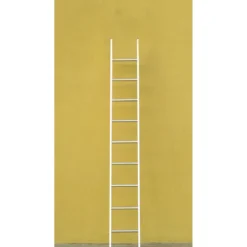 Scala Dritta 8 Gradini in Alluminio da Appoggio Scaletta per Esterno 250cm