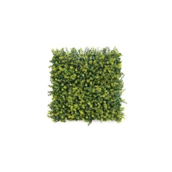 Siepe finta da Parete 50x50 Bosso decorazione