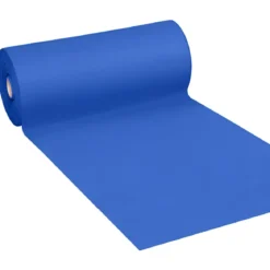 Tappeto Moquette 1x30 m Blu Passatoia Antiscivolo da Esterno Interno