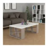 Tavolino da Salotto 105x60 cm con Ripiano bianco e gambe Tortora
