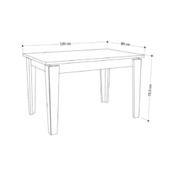 Tavolo da Pranzo Antracite 120x80 Allungabile Rettangolare