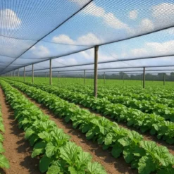 Telo Antigrandine HDPE Verde 2x100 m Ombreggiante Giardino Orto