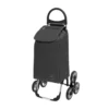 Trolley per Spesa con Telaio Resistente e Sacca Estraibile da 50 lt