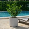 Vaso in Resina Beige 36x35 Resistente Raggi UV Materiale Riciclabile