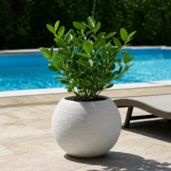 Vaso in Resina Bianco 40x33 Rotazionale da Interno Esterno Atossico