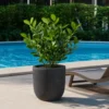 Vaso in Resina Grigio 35x34 Resistente Raggi UV Materiale Riciclabile