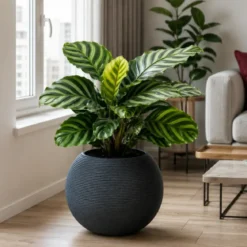 Vaso in Resina Grigio 40x33 Rotazionale da Interno Esterno Atossico