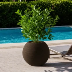 Vaso in Resina Marrone 40x33 Rotazionale da Interno Esterno Atossico