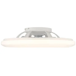 Ventilatore da Soffitto con Argento Bianco 60 cm LED RGB Telecomando