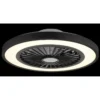 Ventilatore da Soffitto con Luce 54 cm Nero Telecomando Luce Notturna