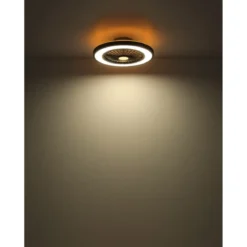 Ventilatore da Soffitto con Luce 54 cm Nero Telecomando Luce Notturna
