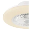 Ventilatore da Soffitto con Luce in Metallo Bianco 50 cm Telecomando