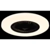 Ventilatore da Soffitto con Nero Bianco 60 cm LED RGB Telecomando