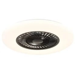 Ventilatore da Soffitto con Nero Bianco 60 cm LED RGB Telecomando