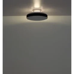 Ventilatore da Soffitto Plafoniera LED Dimmerabile 45 cm Bianco Nero