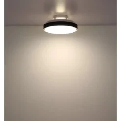 Ventilatore da Soffitto Plafoniera LED Dimmerabile 45 cm Bianco Nero