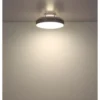 Ventilatore da Soffitto Plafoniera LED Dimmerabile 45 cm Bianco Argento